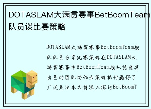 DOTASLAM大满贯赛事BetBoomTeam战队队员谈比赛策略