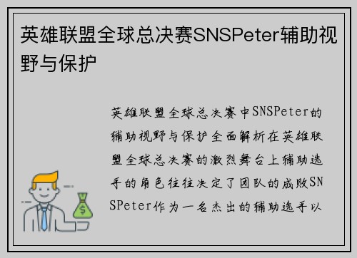 英雄联盟全球总决赛SNSPeter辅助视野与保护