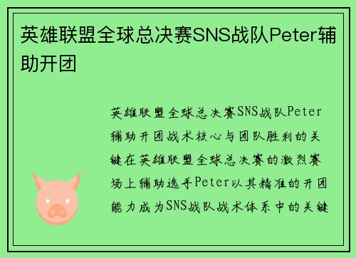 英雄联盟全球总决赛SNS战队Peter辅助开团