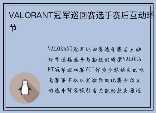 VALORANT冠军巡回赛选手赛后互动环节